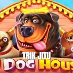trik jitu slot the dog house